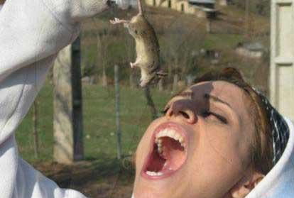 62079 599 عکس موش خوردن دختر ایرانی