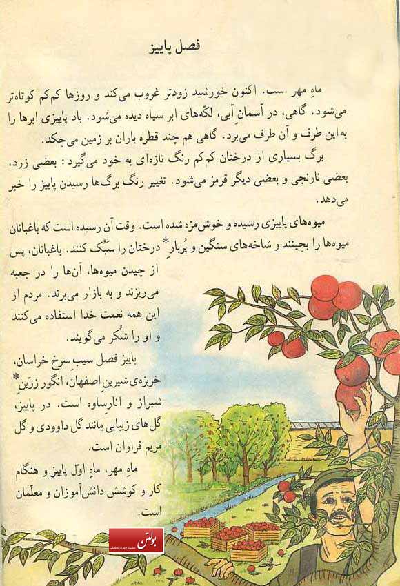 بولتن نیوز
