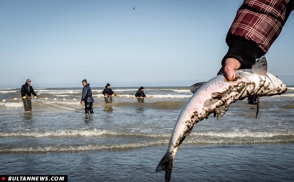 صید ماهی در دریای خزر+تصاویر