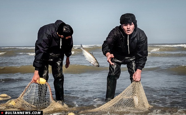صید ماهی در دریای خزر+تصاویر