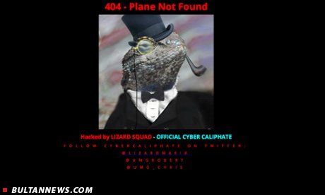 مارمولکی که هواپیمایی مالزی را هک کرد (+عکس)