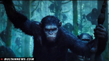حکمرانی میمون‌ها بر گیشه سینمای جهان