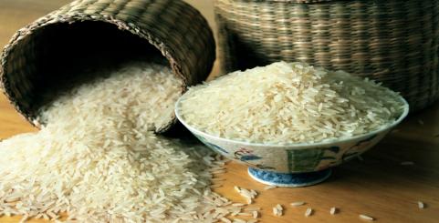 وزارت جهاد کشاورزی طرح خودکفایی برنج را اجرایی کند