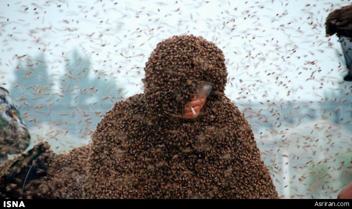 عکس: رکوردشکنی زنبوردار چینی
