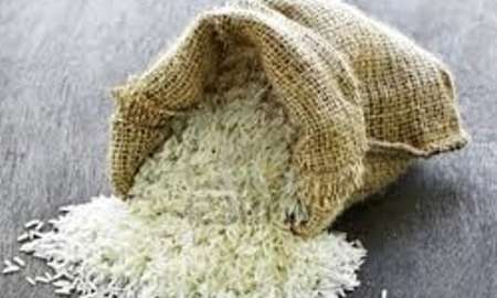 سقف واردات برنج ذخایر استراتژیک 150 هزار تن شد/شایعه سازی یک سایت عامل التهاب در بازار برنج