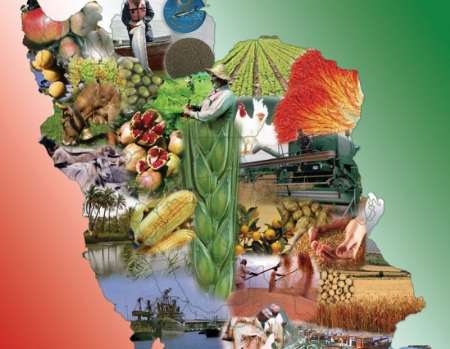 صادرات 802 میلیون دلاری محصولات کشاورزی در2 ماهه امسال/رشد22.5 درصدی