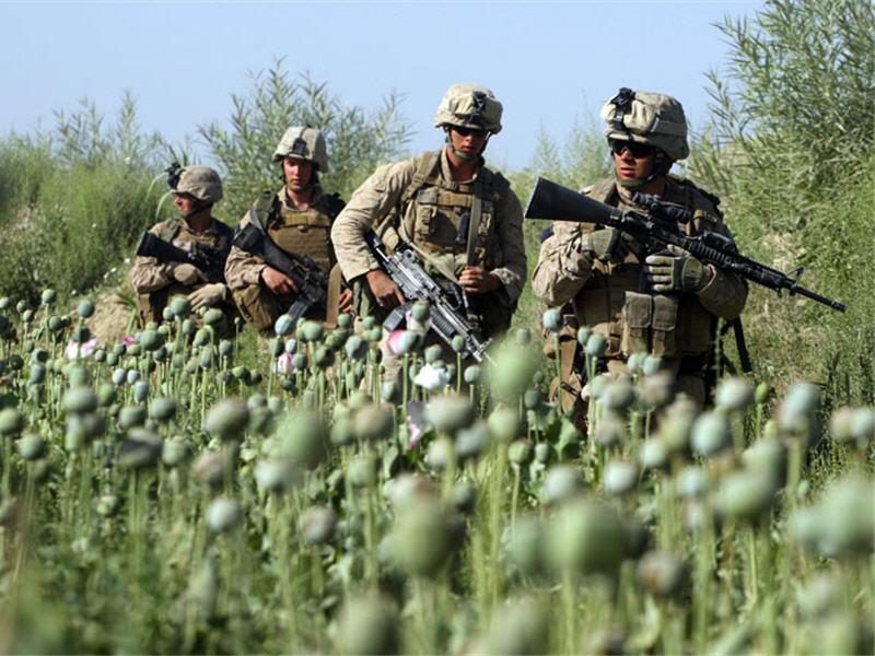 آیا مراکز نظامی خارجی‌ از مزارع کشت مواد مخدر حفاظت می‌کنند؟