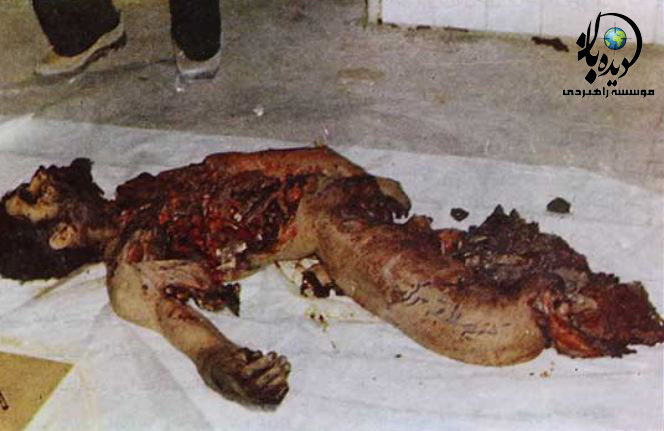 واقعیت هایی از اعدام های سال ۶۷ که نمی دانید + تصاویر