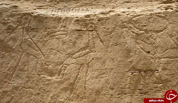کشف سنگ‌نوشته‌های باستانی جدید در مصر پژوهشگران را غافلگیر کرد+ عکس