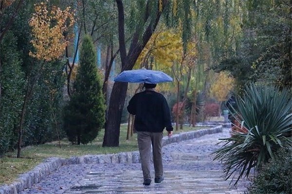 بارش باران در 14 استان کشور/ دامنه های البرز برفی می شود