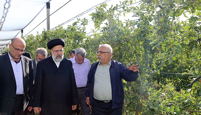 بذرهای امید آستان قدس رضوی برای کشاورزی ایران