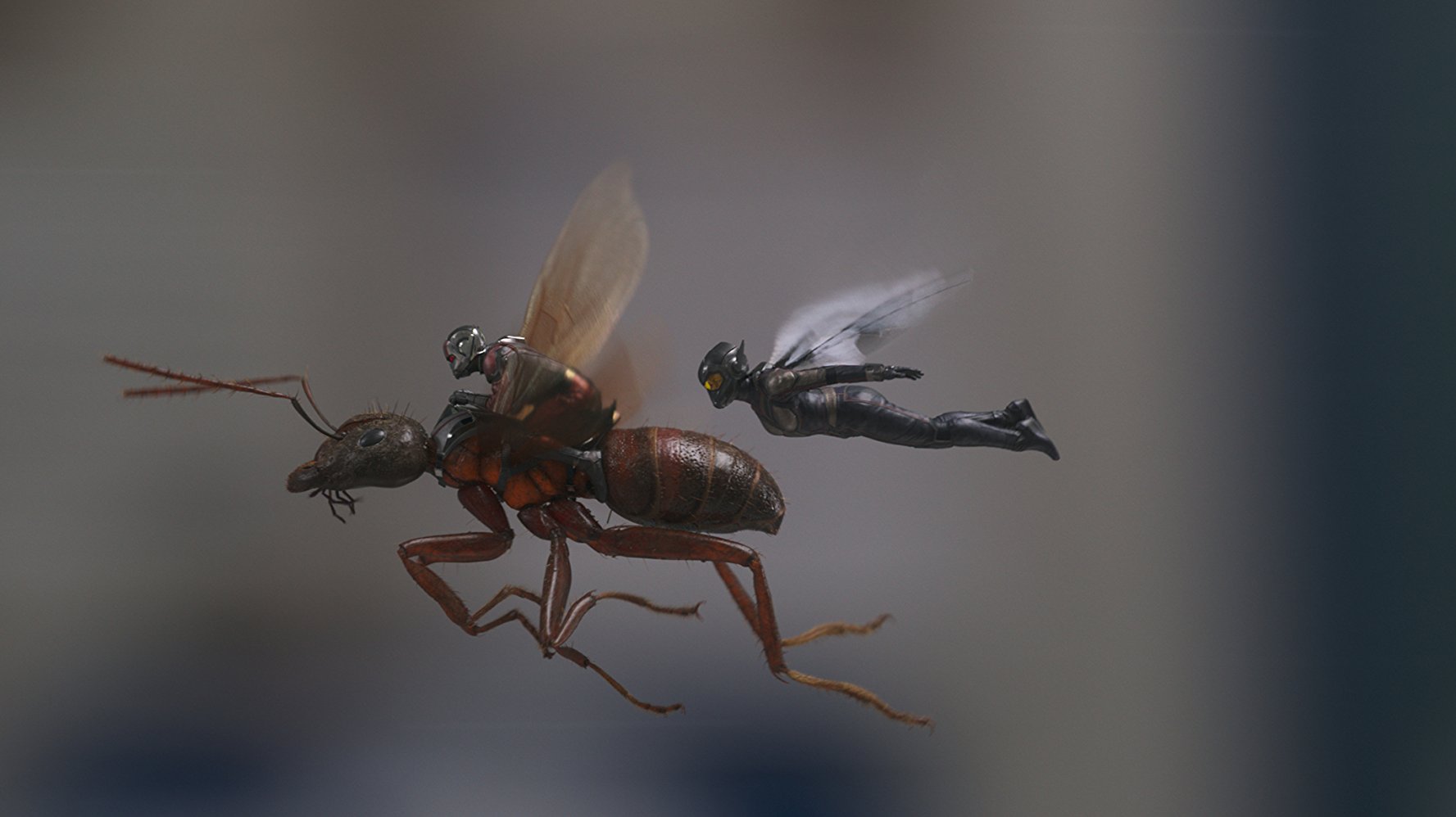 زنبورک و مرد مورچه‌ای هفتمین فیلم پرفروش جهان در سال ۲۰۱۸