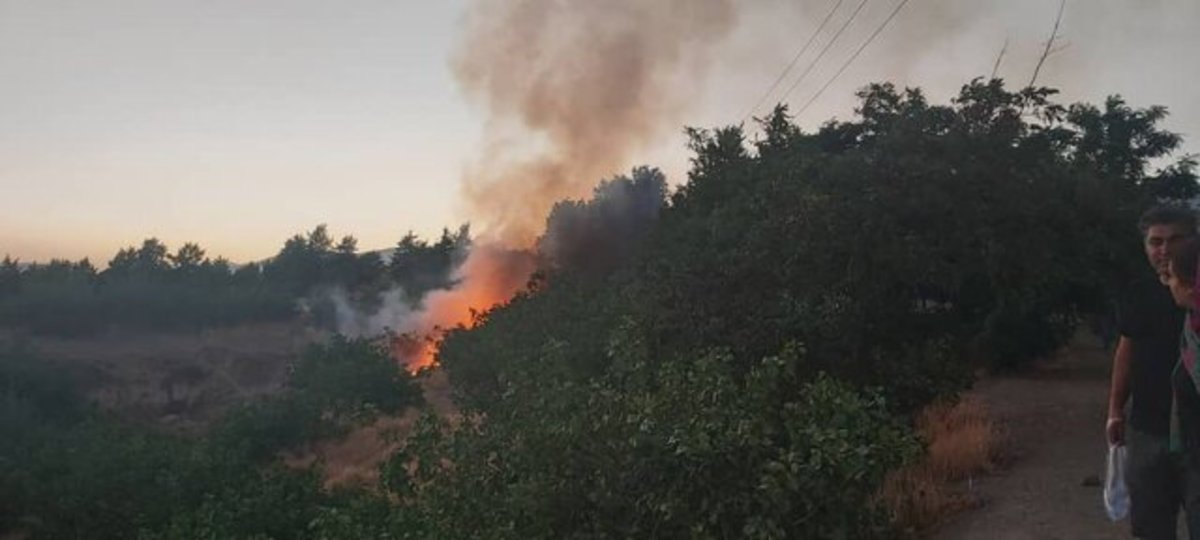 آتش سوزی در پارک پردیسان