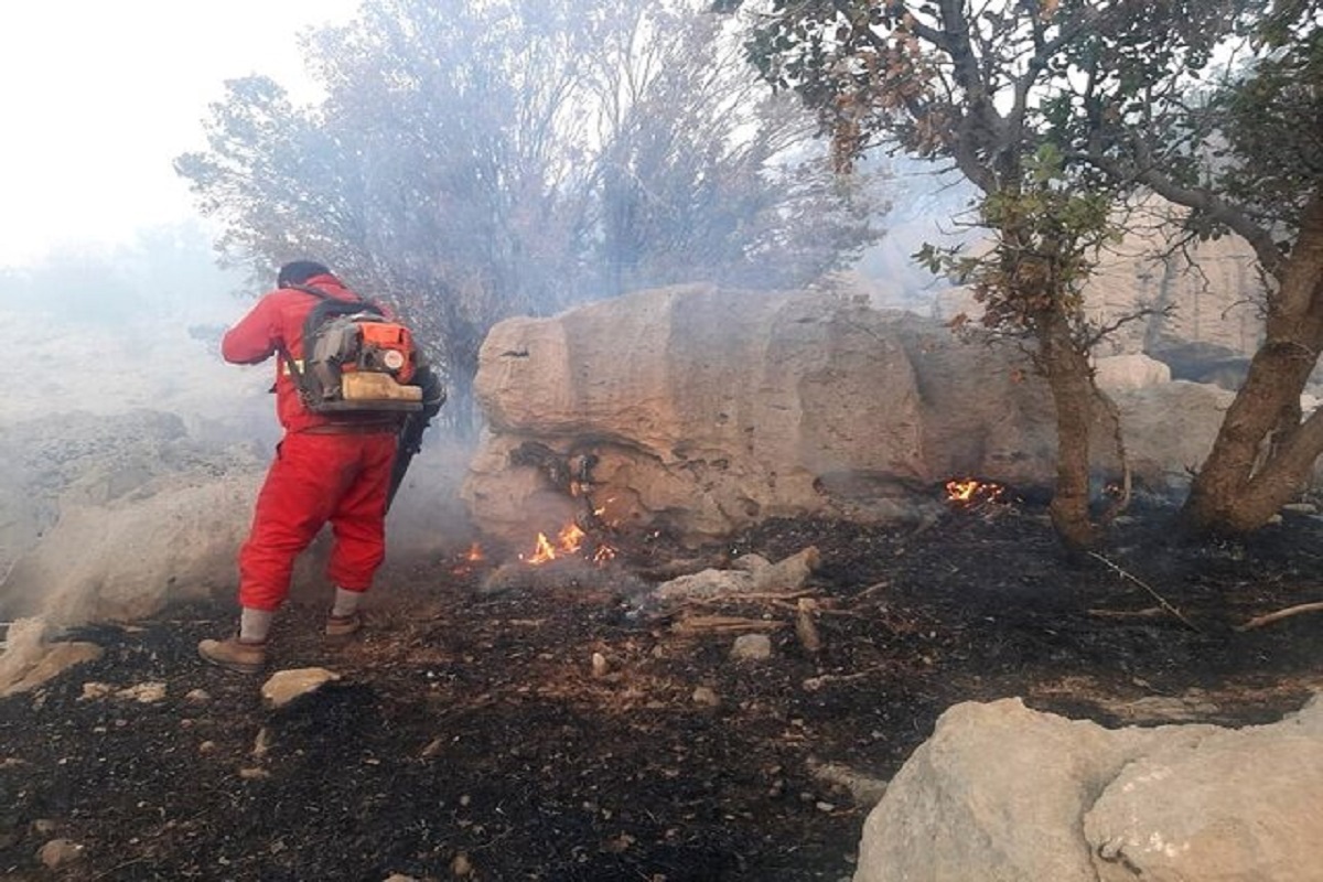 جنگل‌های لاویج و واز شهرستان نور همچنان در آتش