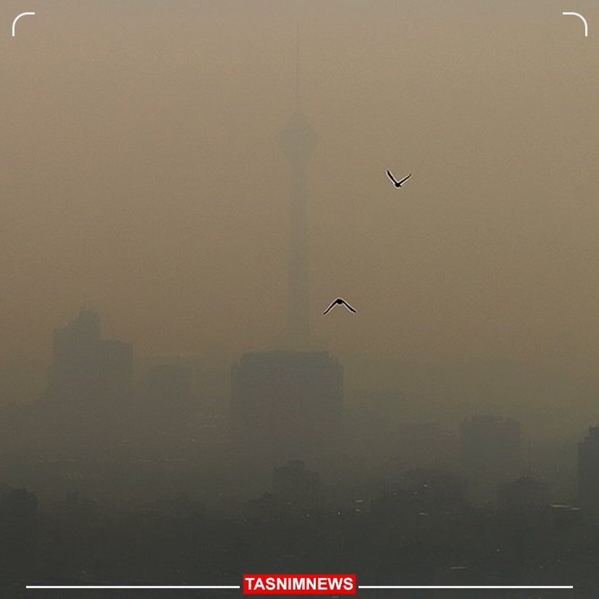 افزایش آلودگی هوا تهران طی هفته آینده