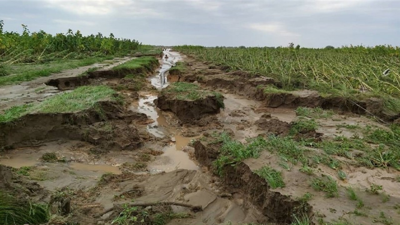 برخی مسئولین کمر بسته‌اند به نابود کردن زمین های کشاورزی و شالیزارها و محیط زیست شمال