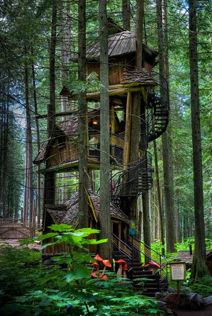 خانه‌ی درختی سه طبقه، بریتیش کلمبیا، کانادا