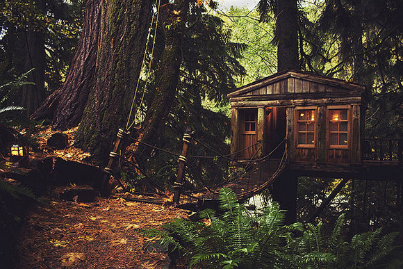 خانه‌ای درختی در سیاتل، آمریکا