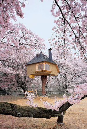 خانه‌ی درختی تتسو، ژاپن