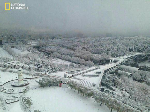 پل طبیعت تهران دریک روز برفی