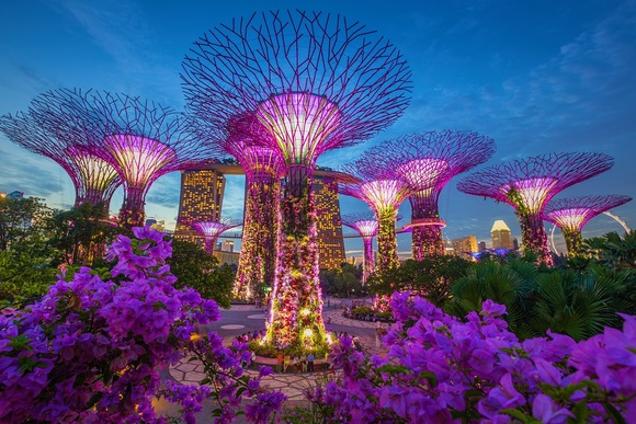 شب های سنگاپور یکی از زیباترین و بی نظیر ترین چشم اندازها را دارد. سعي كنيد براي صرف شام به بلند ترين برج شهر برويد و از چشم انداز زیر پای خود لذت ببرید. از درختان غولپیکر گراو در سنگاپور بازديد كنيد. در ساحل سنگاپور قدم بزنید و یا در حوالي بلندترین آبشار سرپوشیده دنیا عکس های بی نظیری بگیرید 