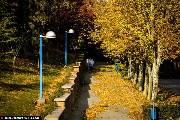 پاییز رفت ...