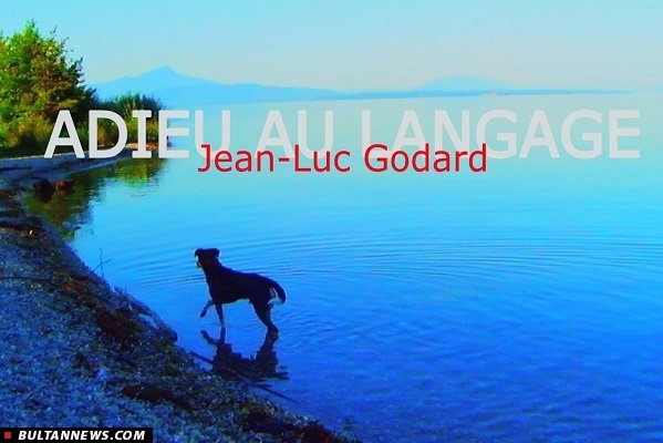 سینما 24 سینما 24