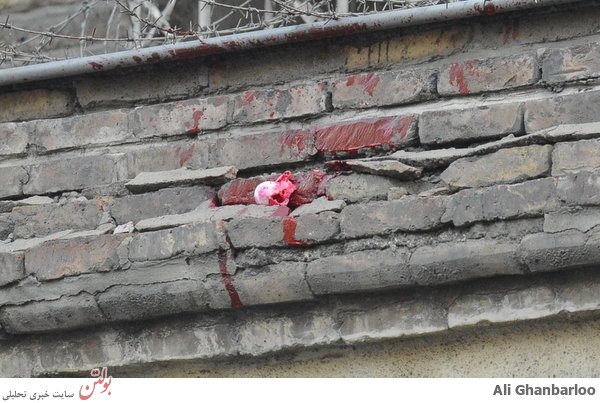 تصاویر خاص از تجمع دانشجوی مقابل سفارت فرانسه