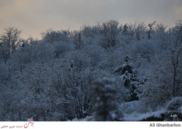 ورود شکوهمند و زیبای زمستان+عکس