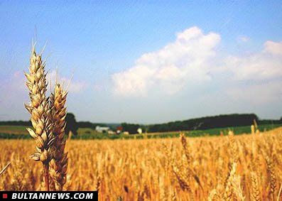 آغاز بکار اولین موسسه تخصصی خدمات رفاهی بخش کشاورزی آغاز بکار اولین موسسه تخصصی خدمات رفاهی بخش کشاورزی