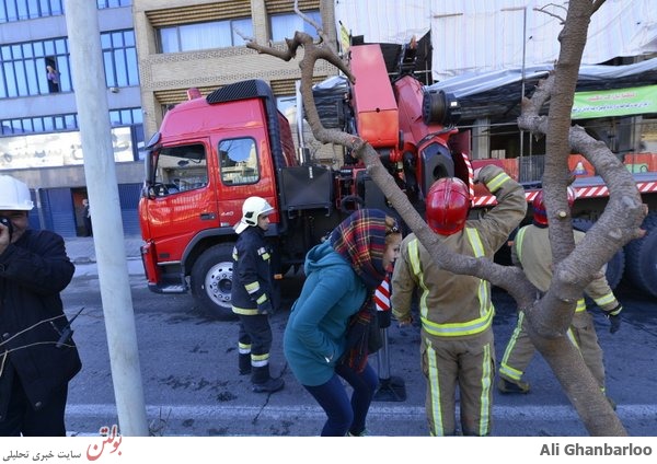 باد شدید در تهران حادثه ساز شد+عکس