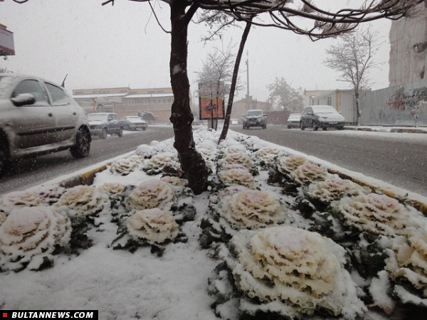اولین برف امسال در تبریز