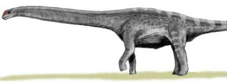 بزرگترین فسیل دایناسور 100 تنی + تصاویر
