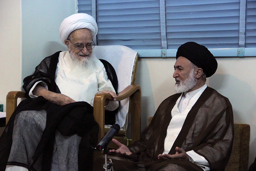 بیانات مهم آیت الله العظمی صافی در دیدار سرپرست حجاج ایرانی+عکس
