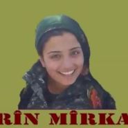 نیروهای مدافع در کوبانی برای دفع حملات داعش به حملات انتحاری روی آورده اند نیروهای مدافع در کوبانی برای دفع حملات داعش به حملات انتحاری روی آورده اند