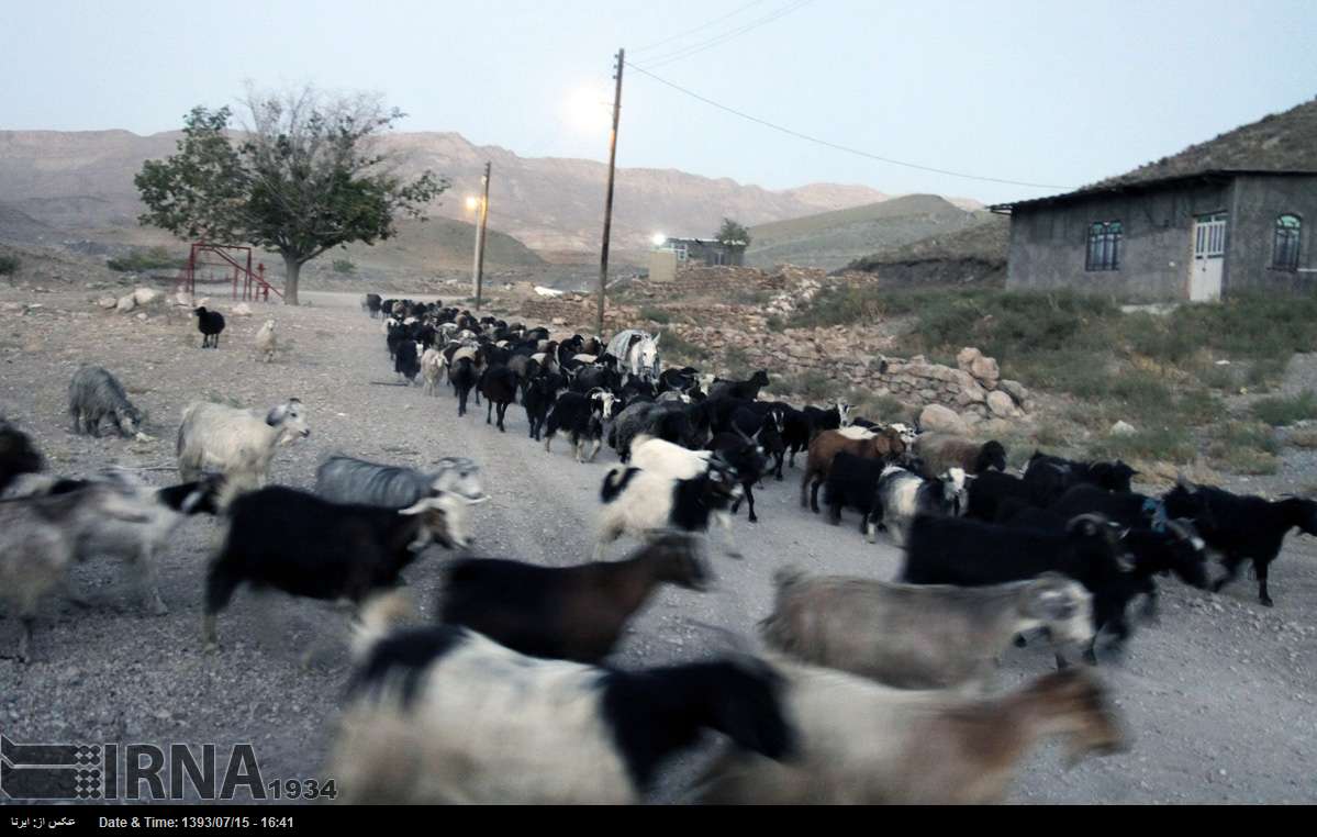 روز ملی روستا