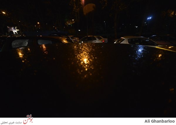 آثار هنرمندان ایرانی برای روز جهانی غذا+عکس