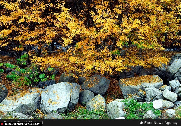 طبیعت پاییزی قلعه بابک
