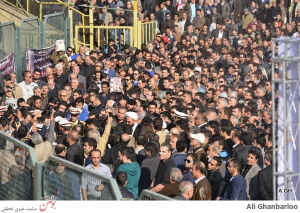 سر طلایی هم بهشتی شد+عکس