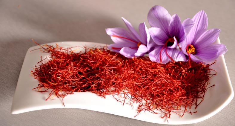 ادویه هایی برای افزایش طول عمر ادویه هایی برای افزایش طول عمر