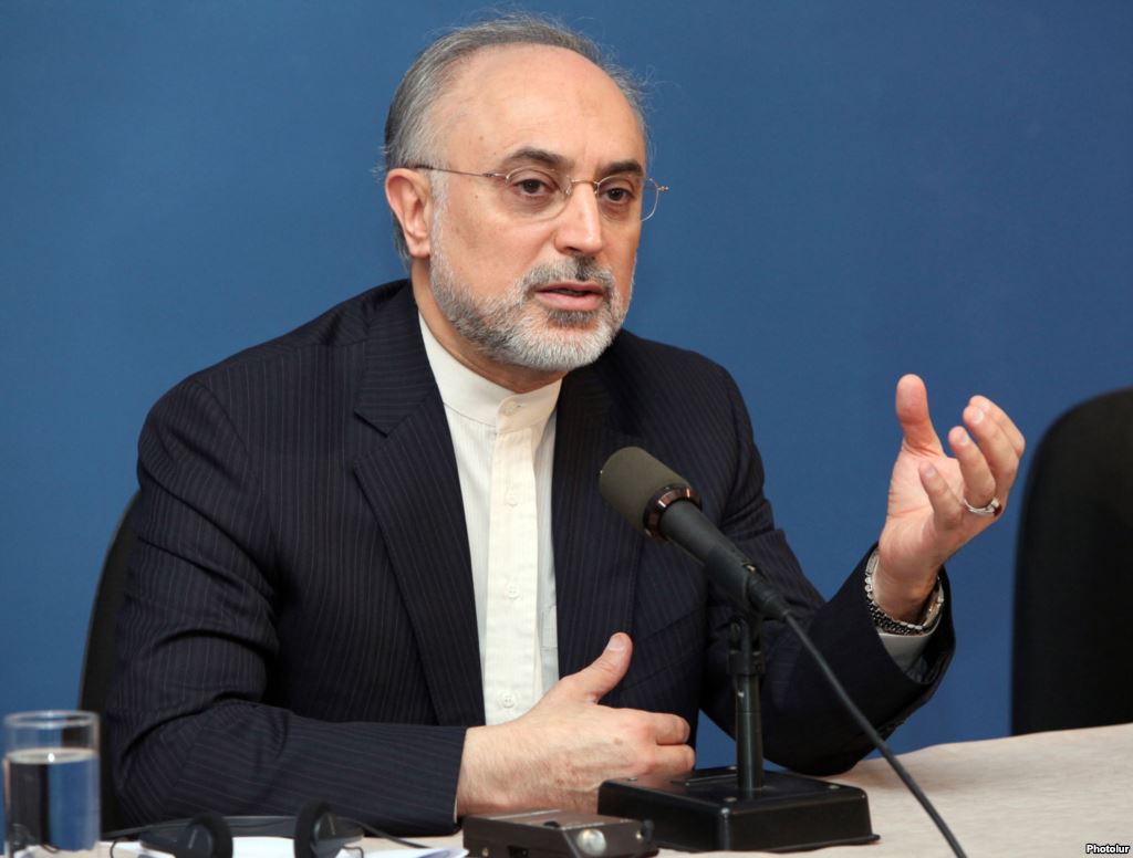 صالحی: همکاری تهران و مسکو برای احداث 2 رآکتور در بوشهر