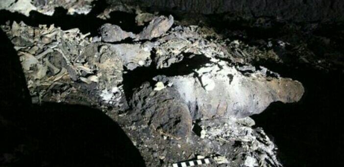 باستان‌شناسان موفق به کشف مومیایی هشت میلیون سگ در مقبره خدای مرگ مصری‌ها شدند.
