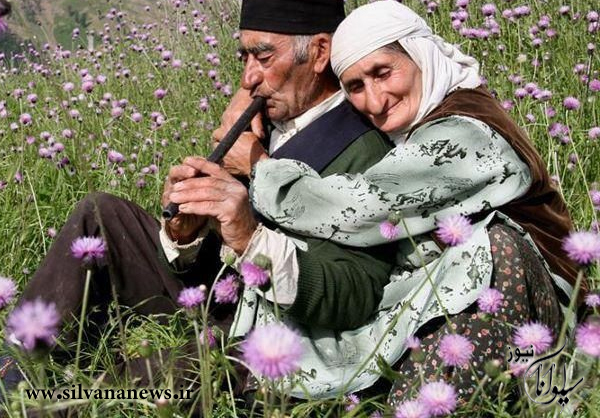 تنورداغ انتخابات کردستان / تکنیک های سنتی و مدرن تبلیغاتی نامزدها تنورداغ انتخابات کردستان / تکنیک های سنتی و مدرن تبلیغاتی نامزدها