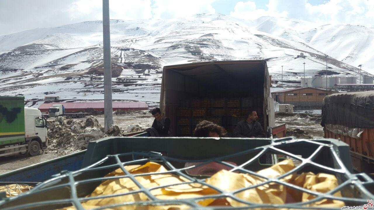 گزارش تصویری بولتن نیوز از قاچاق میوه به ایران توسط کامیونهای ترانزیتی ترک