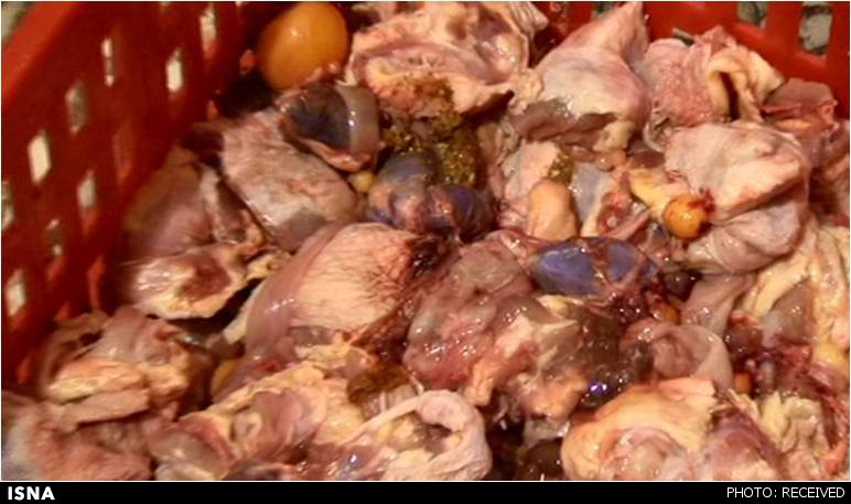 از خمیر مرغ تا جان آدمیزاد از خمیر مرغ تا جان آدمیزاد