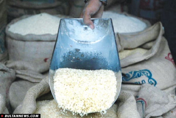تیغ دو لبه واردات برنج