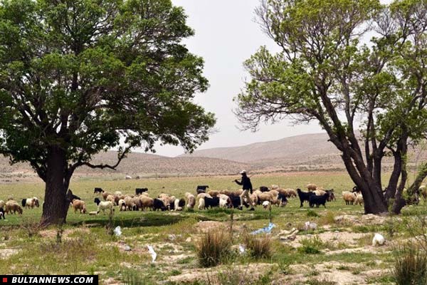 سفر اهالی مدرسه علوم دینی «هارتفورد» به ایران / ۹