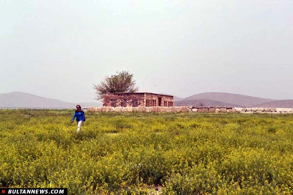 سفر اهالی مدرسه علوم دینی «هارتفورد» به ایران / ۹