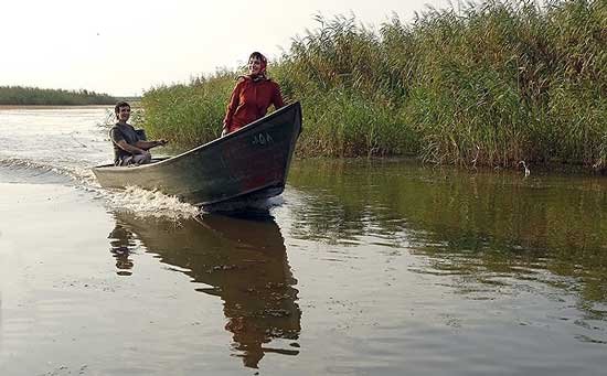 فرهنگ در رسانه