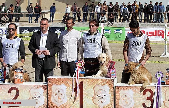 حضور ۱۸ تیم آنست در نخستین دوره توانافزایی تیمهای جستوجو و نجات هلالاحمر حضور ۱۸ تیم آنست در نخستین دوره توانافزایی تیمهای جستوجو و نجات هلالاحمر